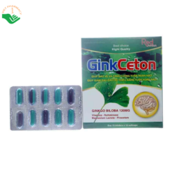 Viên uống GinkCeton TPP-France hỗ trợ tăng cường tuần hoàn máu não, giảm hoa mắt, chóng mặt và tê buồn chân tay (Hộp 10 vỉ x 10 viên)