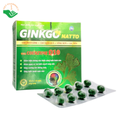 Viên uống Ginkgo Natto With Coenzyme Q10 Phúc Vinh hỗ trợ tăng tuần hoàn máu não, giảm hoa mắt chóng mặt (Hộp 10 vỉ x 10 viên)