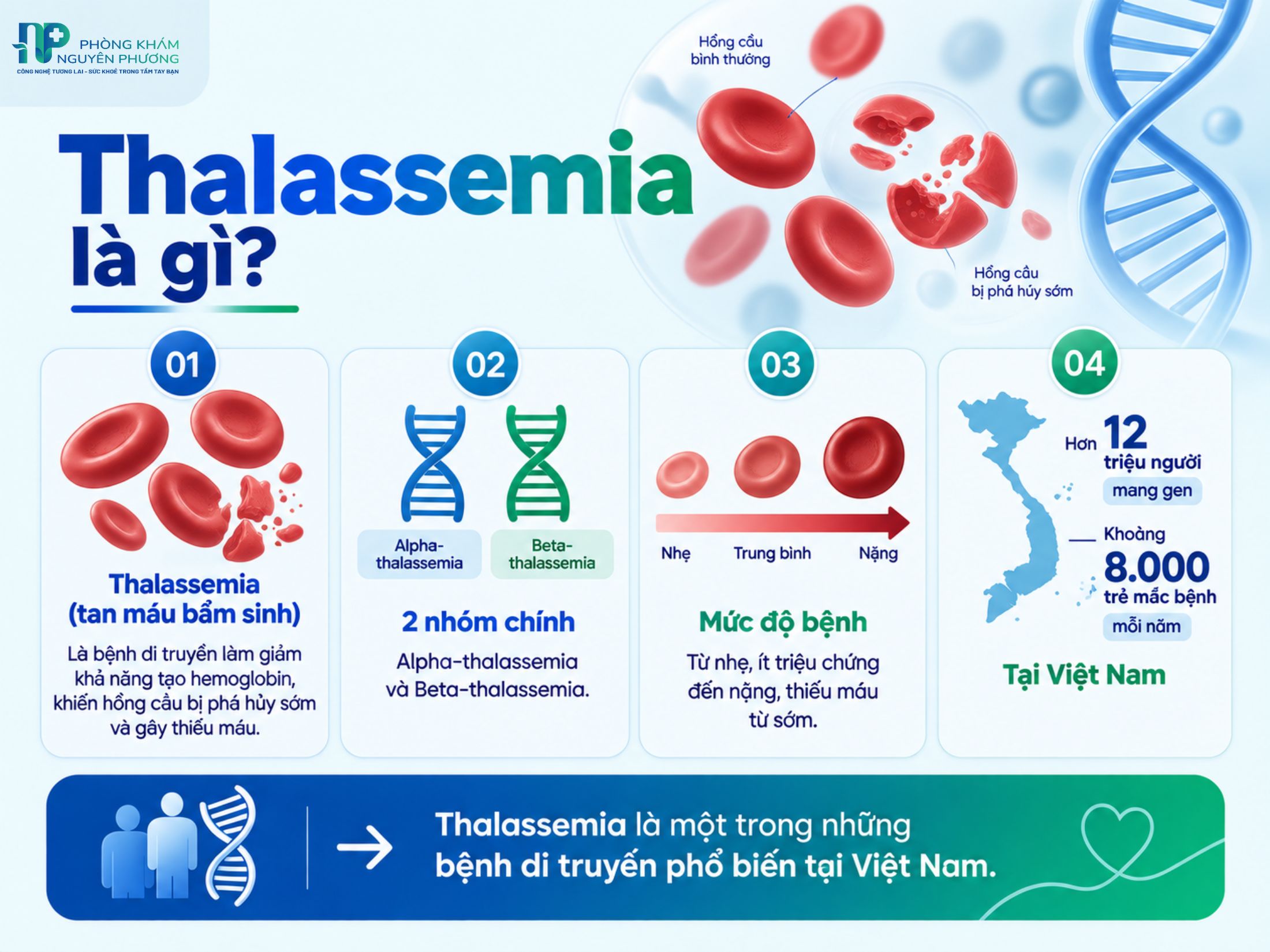 Thalassemia là bệnh tan máu bẩm sinh di truyền gây thiếu máu kéo dài