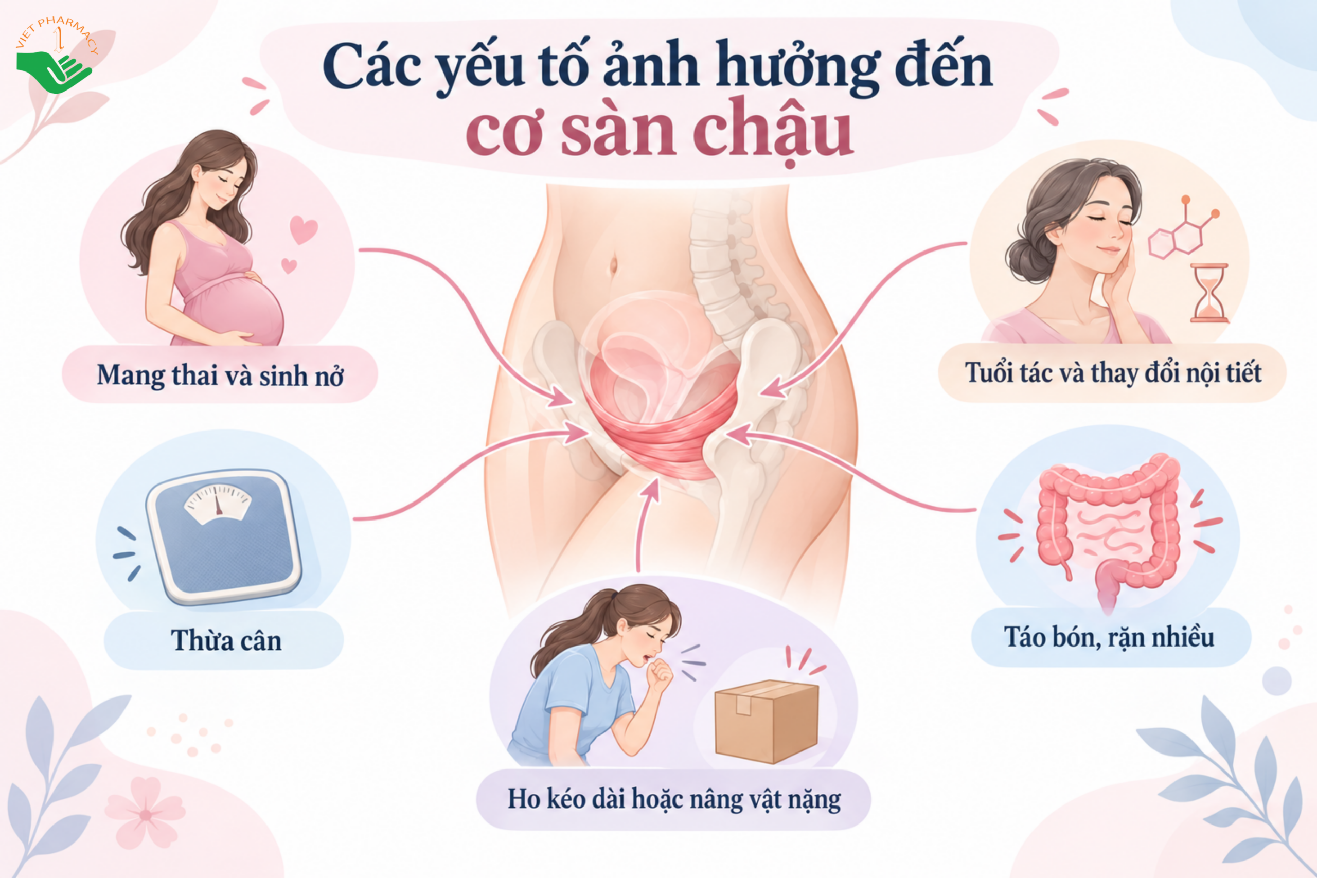 Các yếu tố ảnh hưởng đến cơ sàn chậu ở nữ giới