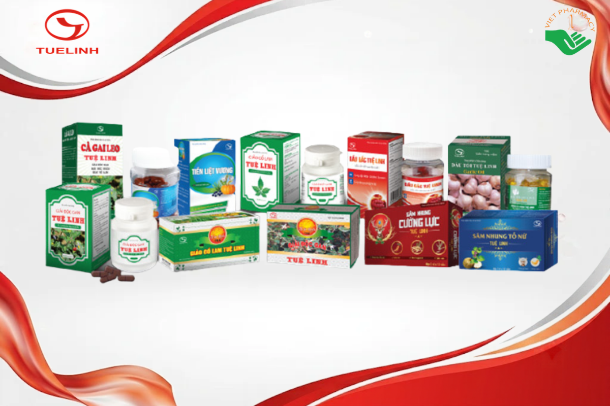 Các dòng sản phẩm chính của Tuệ Linh
